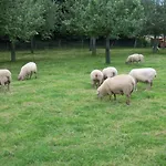 4 Saisons * Criquetot-le-Mauconduit