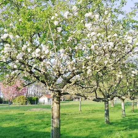 4 Saisons Hébergement de vacances Criquetot-le-Mauconduit