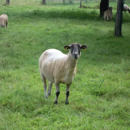 Hébergement de vacances 4 Saisons *